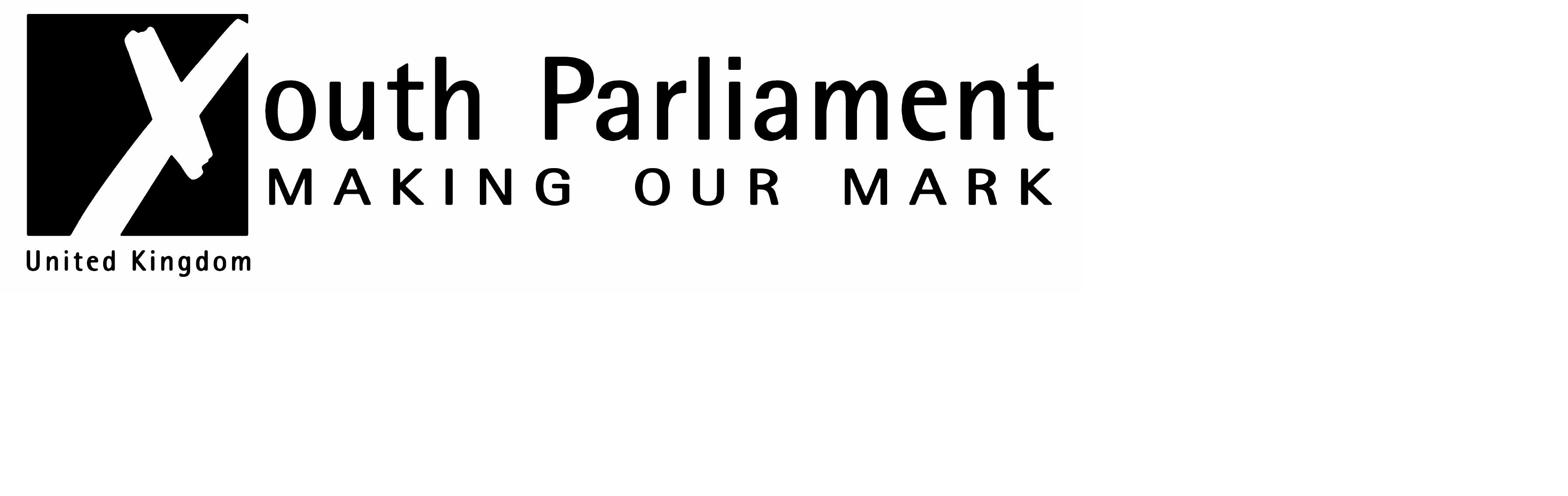 Organisation logo for NI UKYP